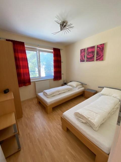 My Adventure Appartements Schladming By Schladmingurlaub Eksteriør bilde